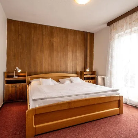 Отель Tanecnica 3*