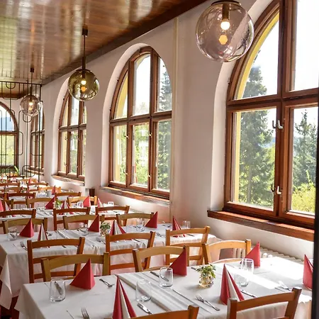 Отель Tanecnica 3*