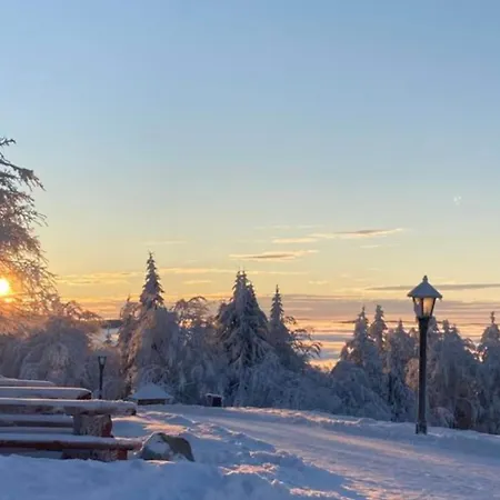 Tanecnica Пустевны