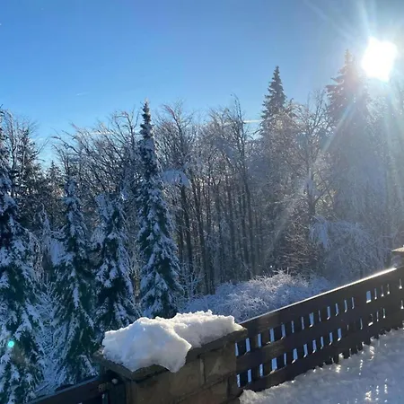 Tanecnica Пустевны